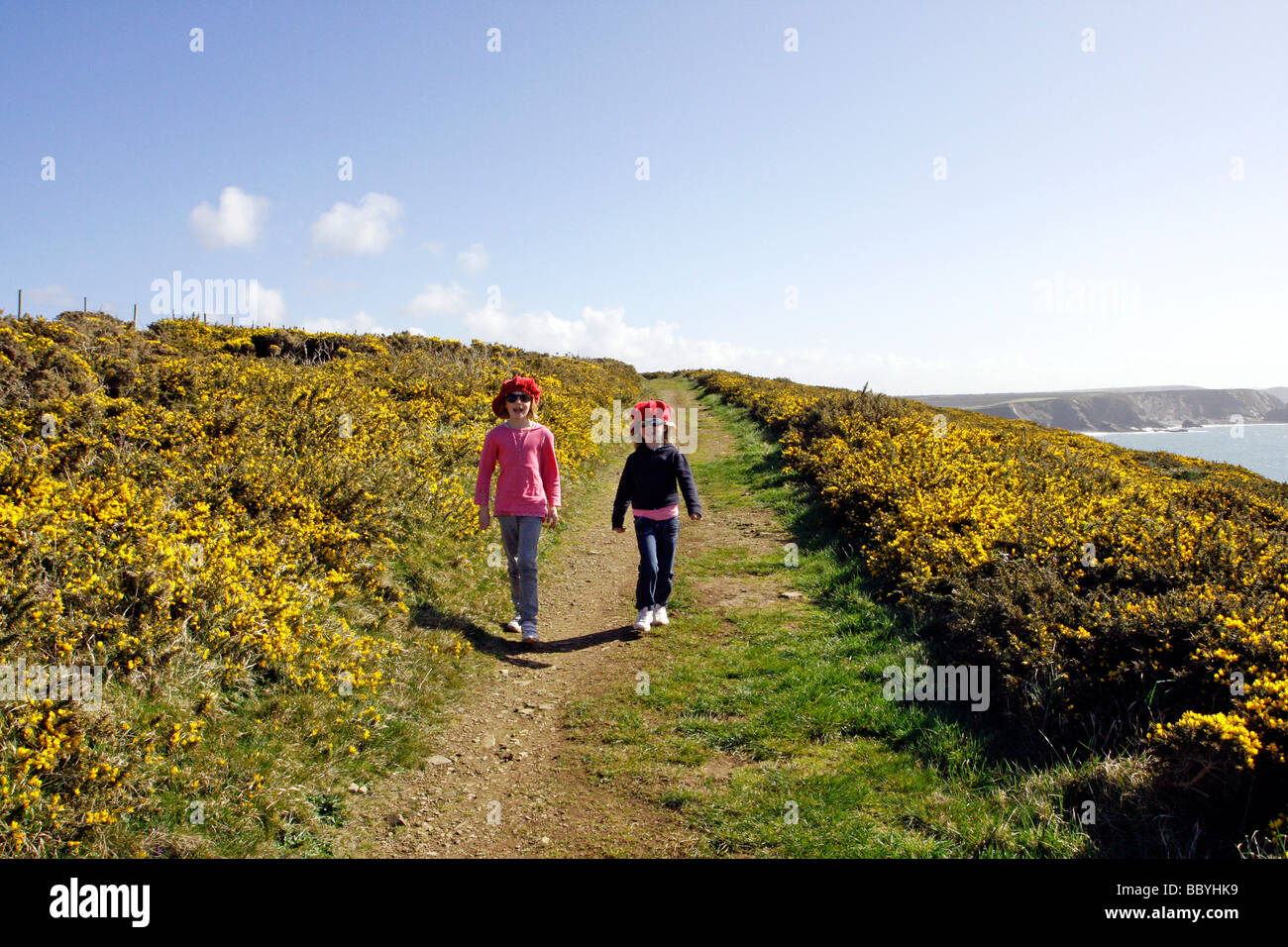 Zwei Mädchen, die zu Fuß auf den Pembrokeshire Coast Path in St Brides Bay Frühling mit der Ginster blüht West Wales UK Stockfoto