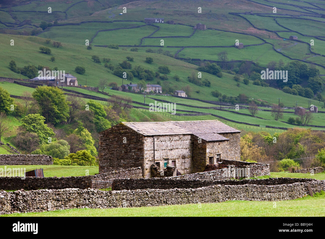 Stone Barn Swaledale nahe Crowtrees Muker Swaledale Yorkshire Dales National Park Stockfoto