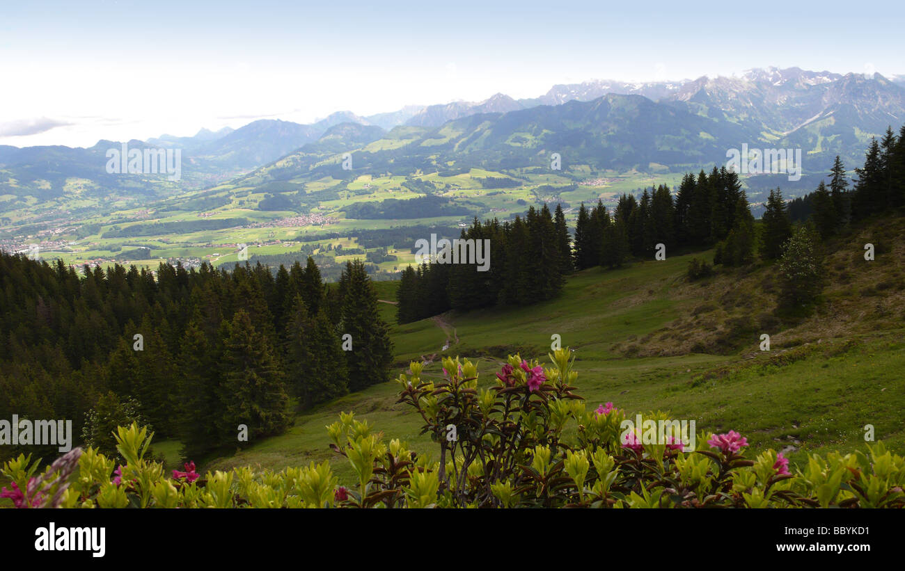 Blick vom Hörnergruppe auf die Allgäu-Alpen Stockfoto
