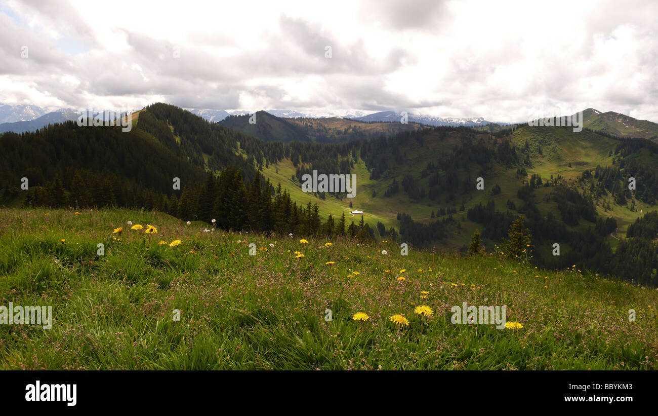 Blick vom Hörnergruppe auf die Allgäu-Alpen Stockfoto