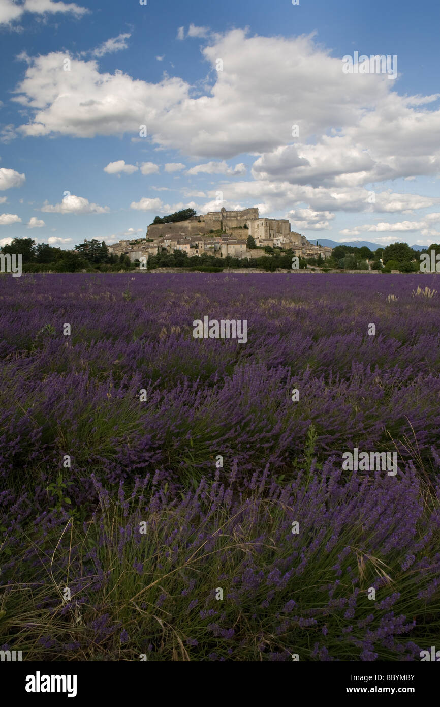 Dorf in der Provence mit Lavendel Stockfoto