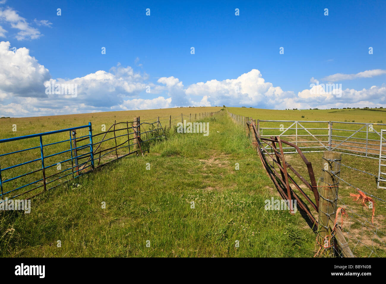 Ein Fußweg verschwindet oberhalb der Horndean Downs Windmill Hill in der Nähe von Portsmouth Hampshire UK Stockfoto