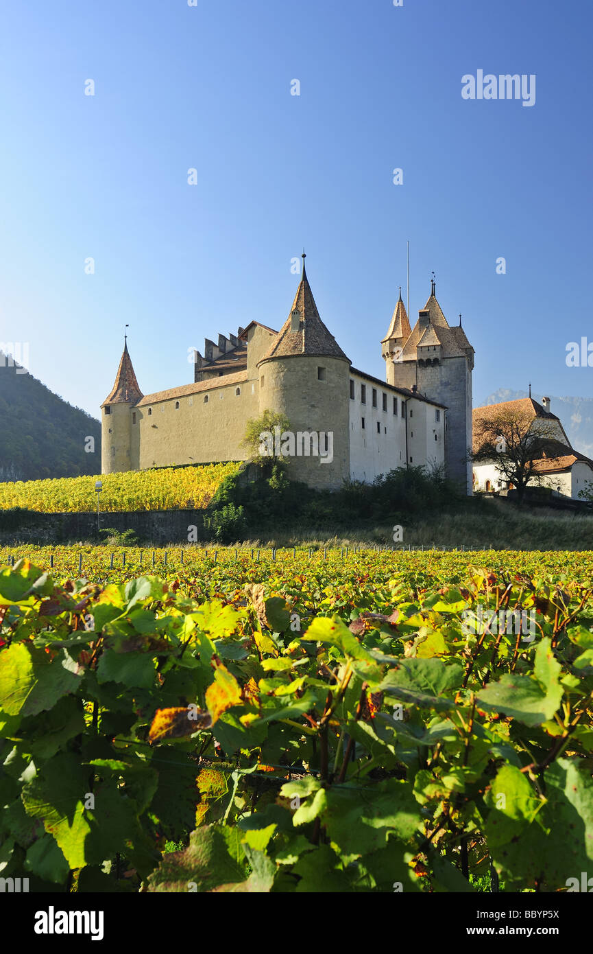 Aigle castle vineyards Fotos und Bildmaterial in hoher Auflösung Alamy