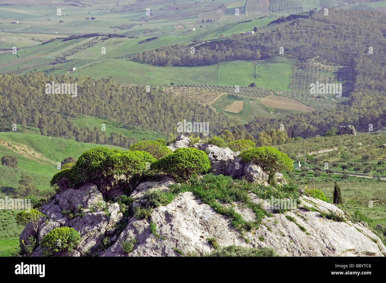 Berglandschaft, grünen Wiesen, Bauernhöfe, Landwirtschaft, Provinz Agrigento, Sizilien, Italien Stockfoto