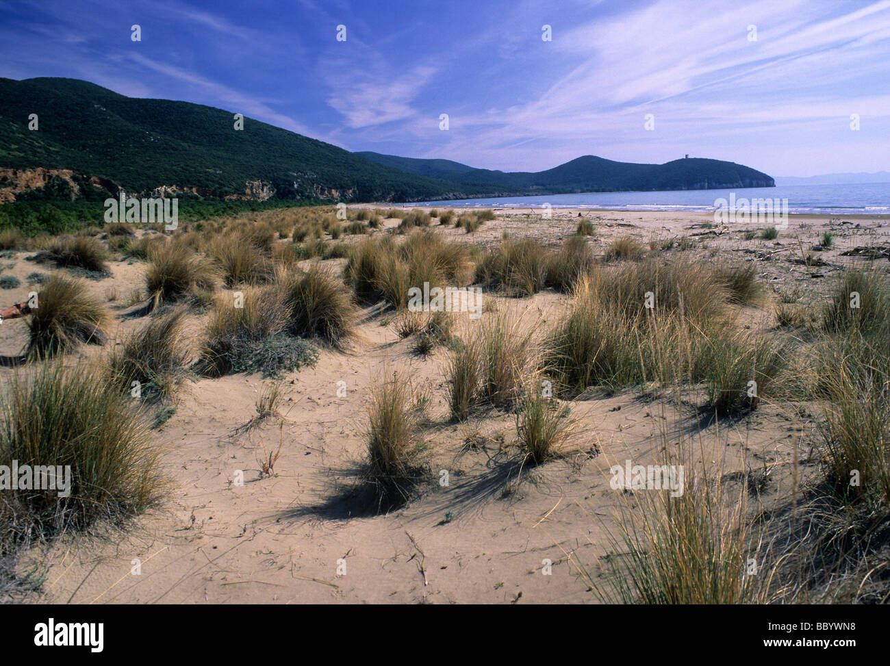 Der Strand von Albarese, Park der Maremma, Toskana, Italien Stockfoto
