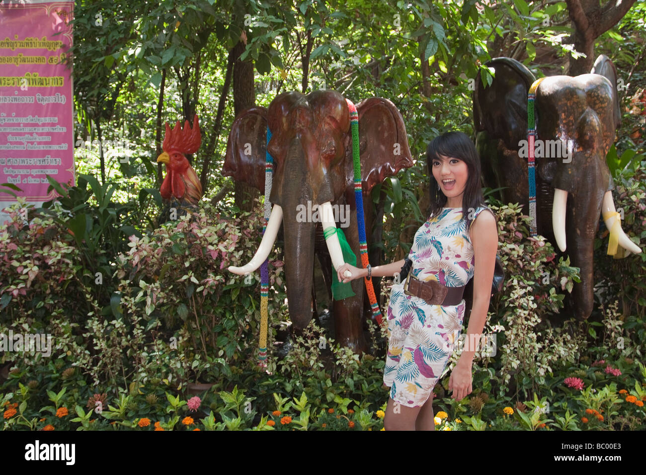 Asiatische Frau mit Stoßzahn des Elefanten tusk Stockfoto