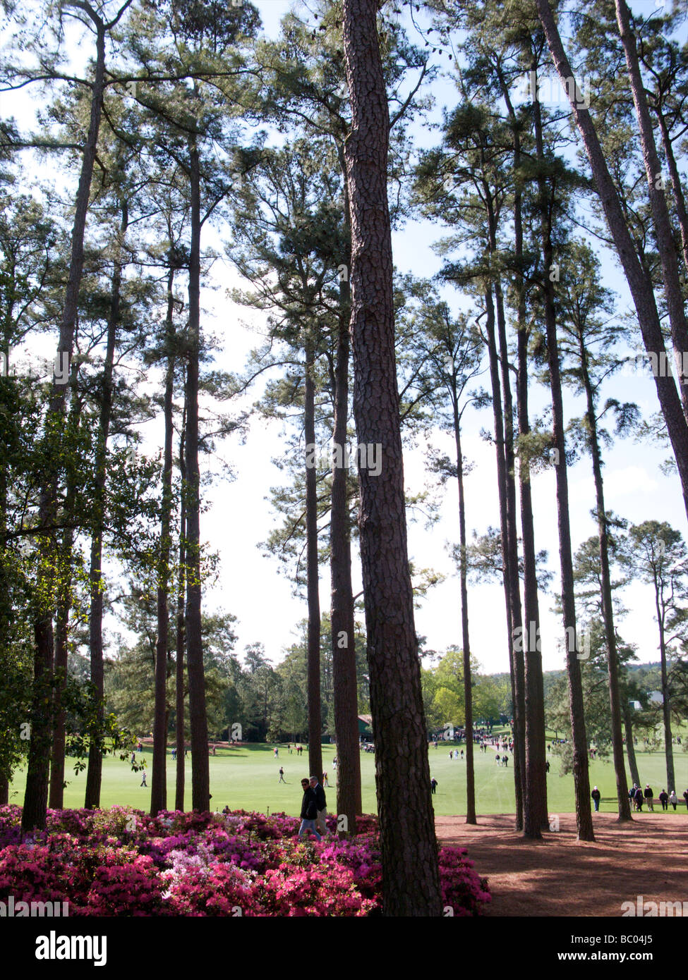 Augusta National Golf Course - Meister 2009 Stockfoto