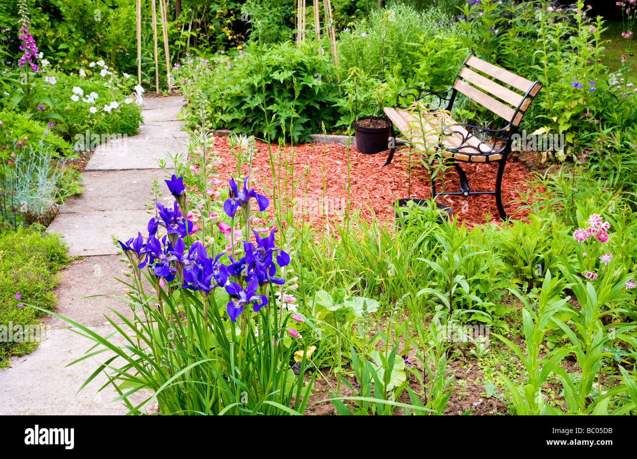 Hölzerne Garten-Sitzplatz oder Bank gesetzt Amoungst Betten und Grenzen von Stauden in einem englischen Landhaus-Garten Stockfoto