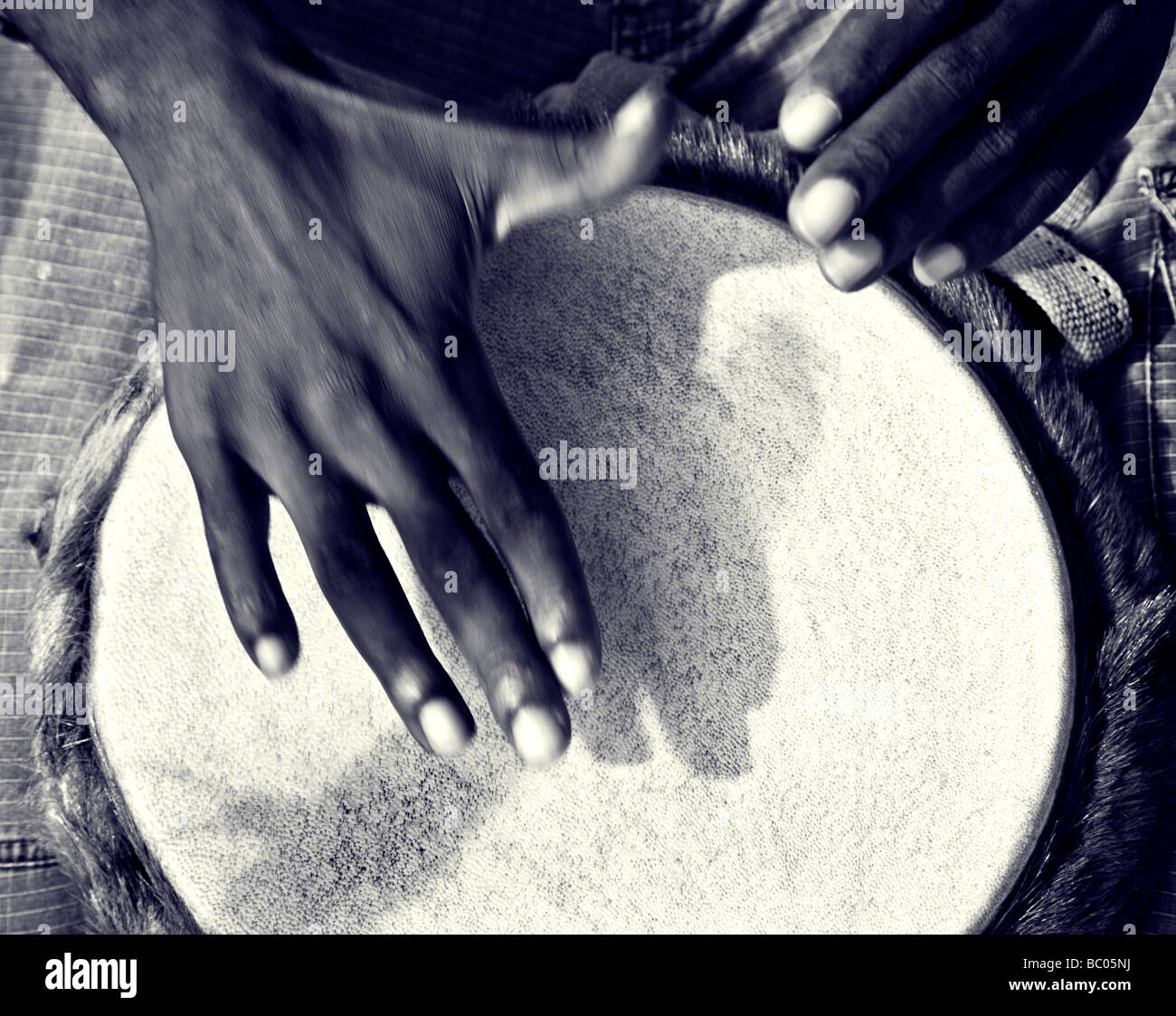 Ein Split-getönten Foto von einer Nahaufnahme eines schwarzen Mannes Hände schlagen einer Trommel. ursprüngliche Farbe Version bei Alamy Ref BC05N2 Stockfoto