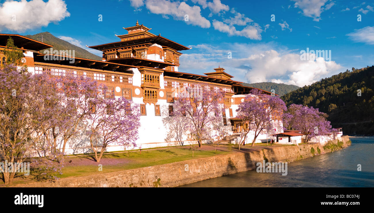 Majestic punakha Dzong - punakha, Bhutan Stockfoto