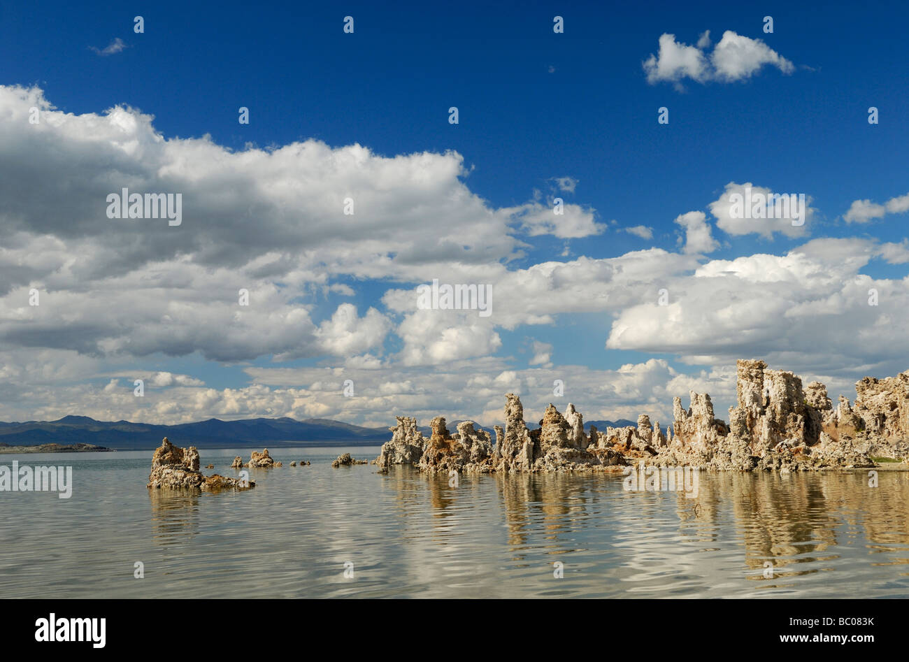 Mineralische Formationen im Mono Lake, östlichen Kalifornien Stockfoto
