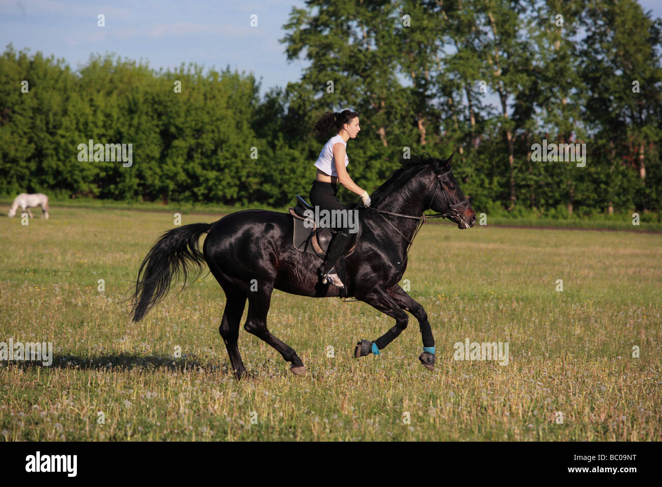 Fröhliche junge Frau und ihr Pferd Stockfoto