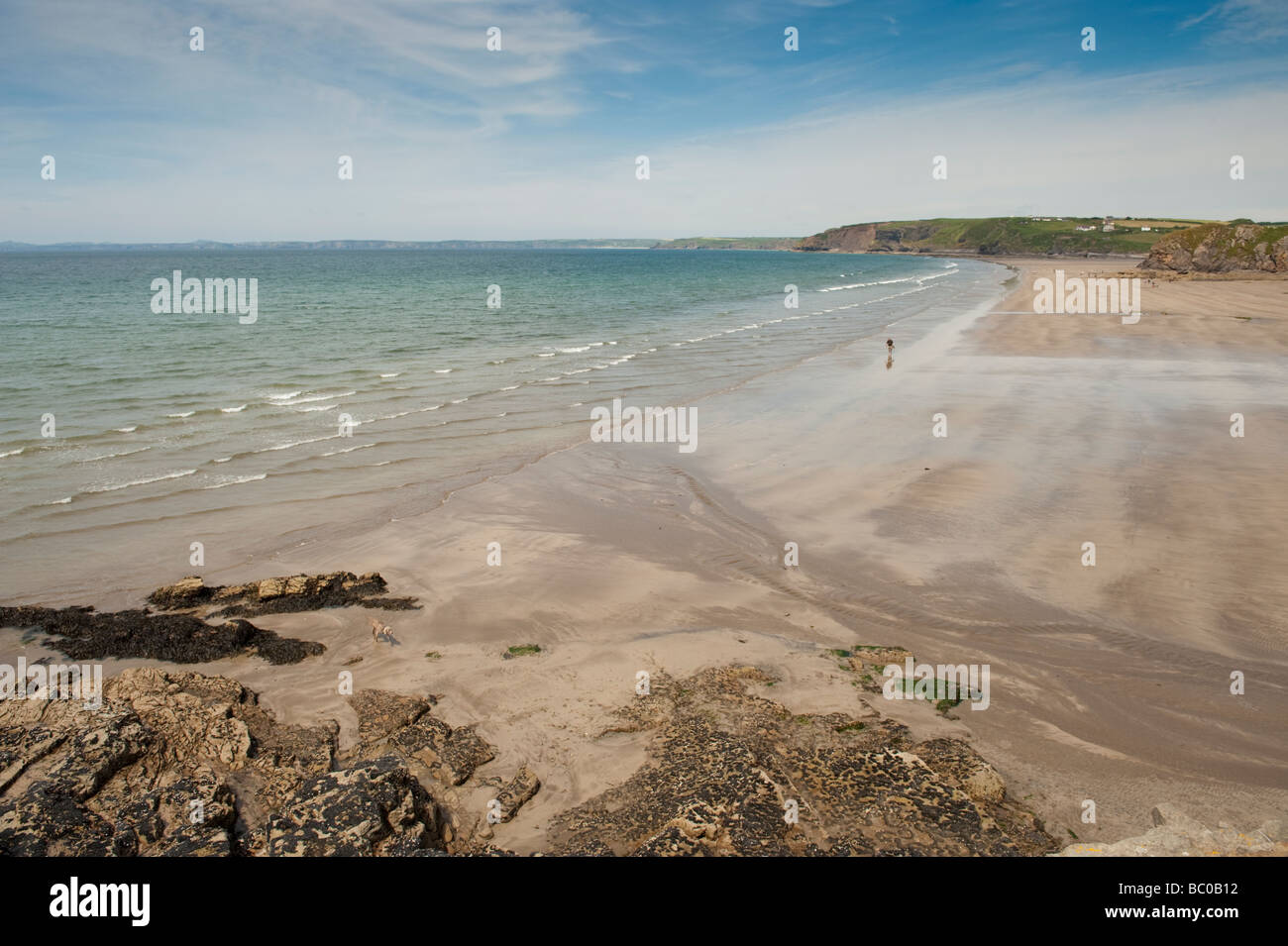 Sommer am Nachmittag kleine Oase Pembrokeshire Coast National Park im Südwesten wales UK Stockfoto