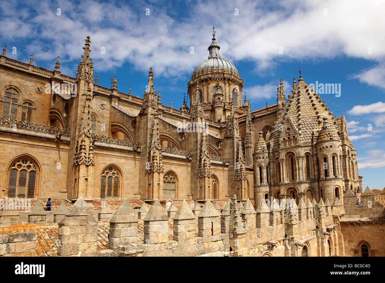 Catedral Vieja de Salamanca Castilla León España alte Kathedrale von Salamanca Castilla Leon Spanien Stockfoto