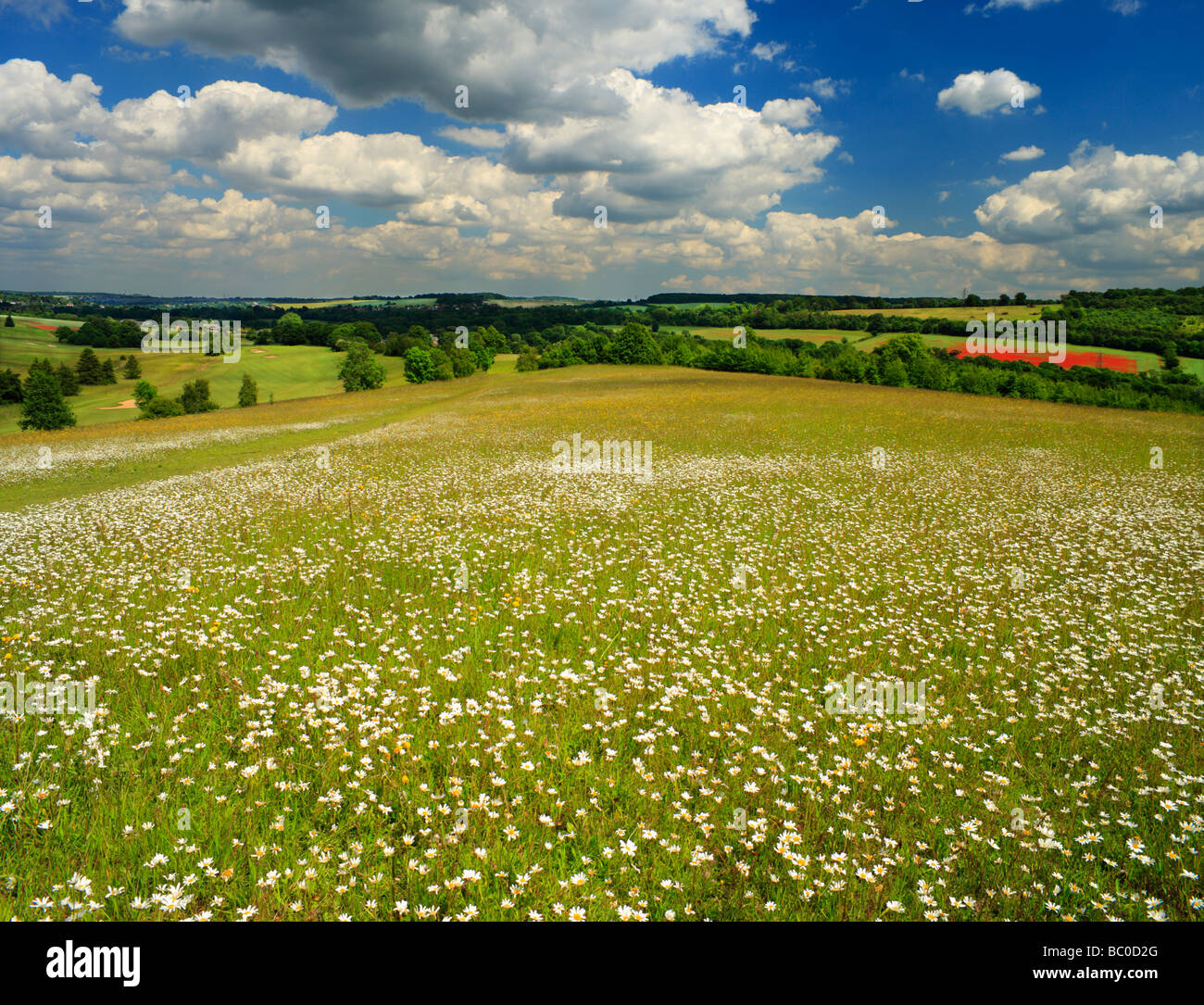 Lullingstone Landschaftspark Kent England UK Stockfoto