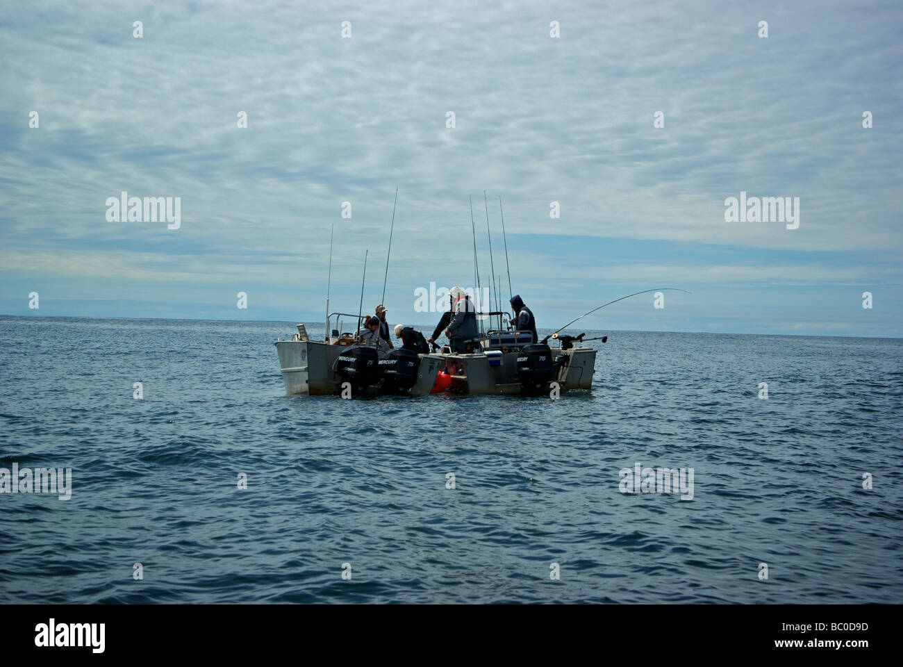 Resort-Mittagessen-Boot liefern warme Mahlzeiten Sandwiches Snacks Getränke Köder für Angler wollen draußen bleiben und Haida Gwaii Fisch Stockfoto