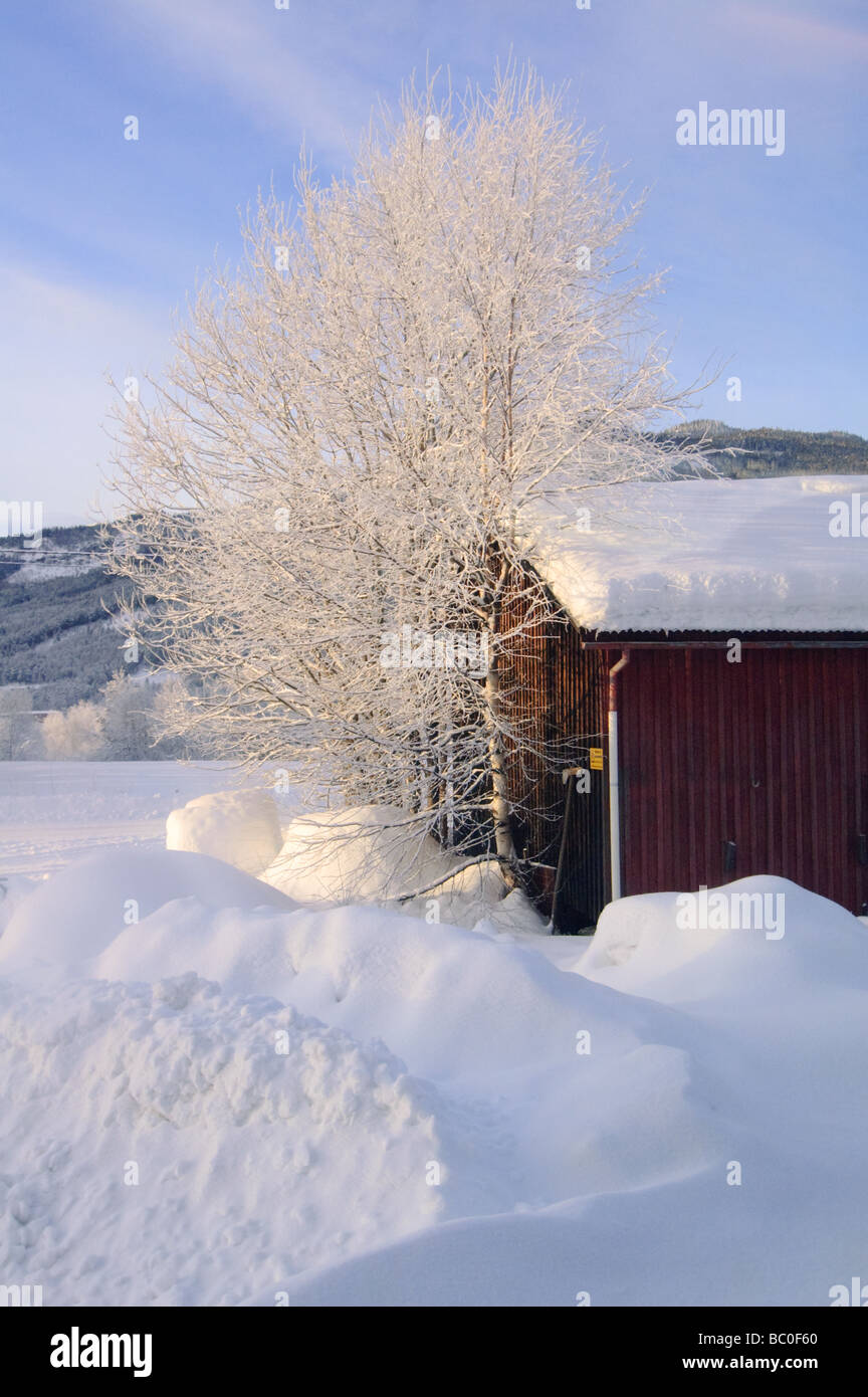 Winter in Norwegen Stockfoto