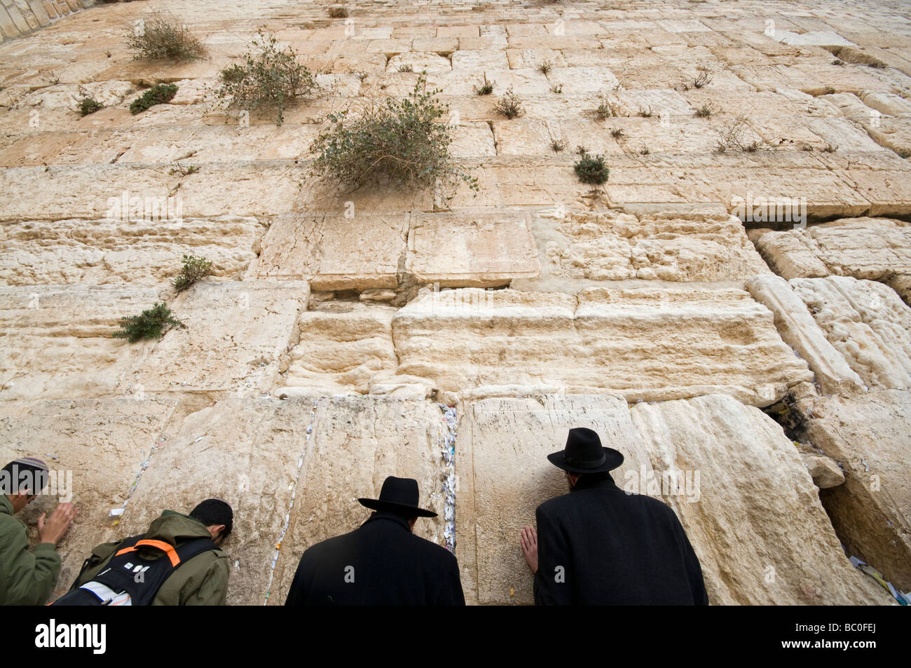 Klagemauer, Jerusalem Israel Stockfoto