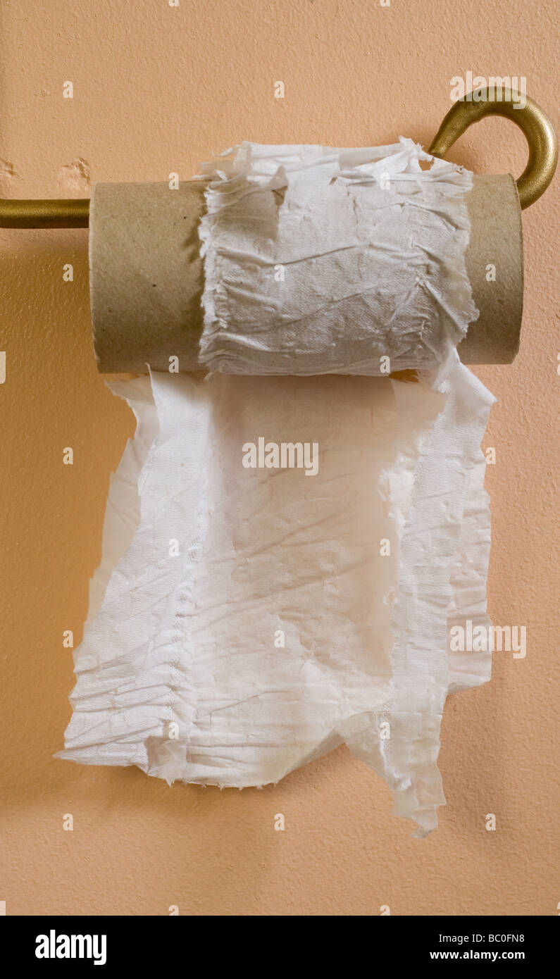 Die letzten Blätter von einer WC-Papierrolle auf einer Halterung. Stockfoto
