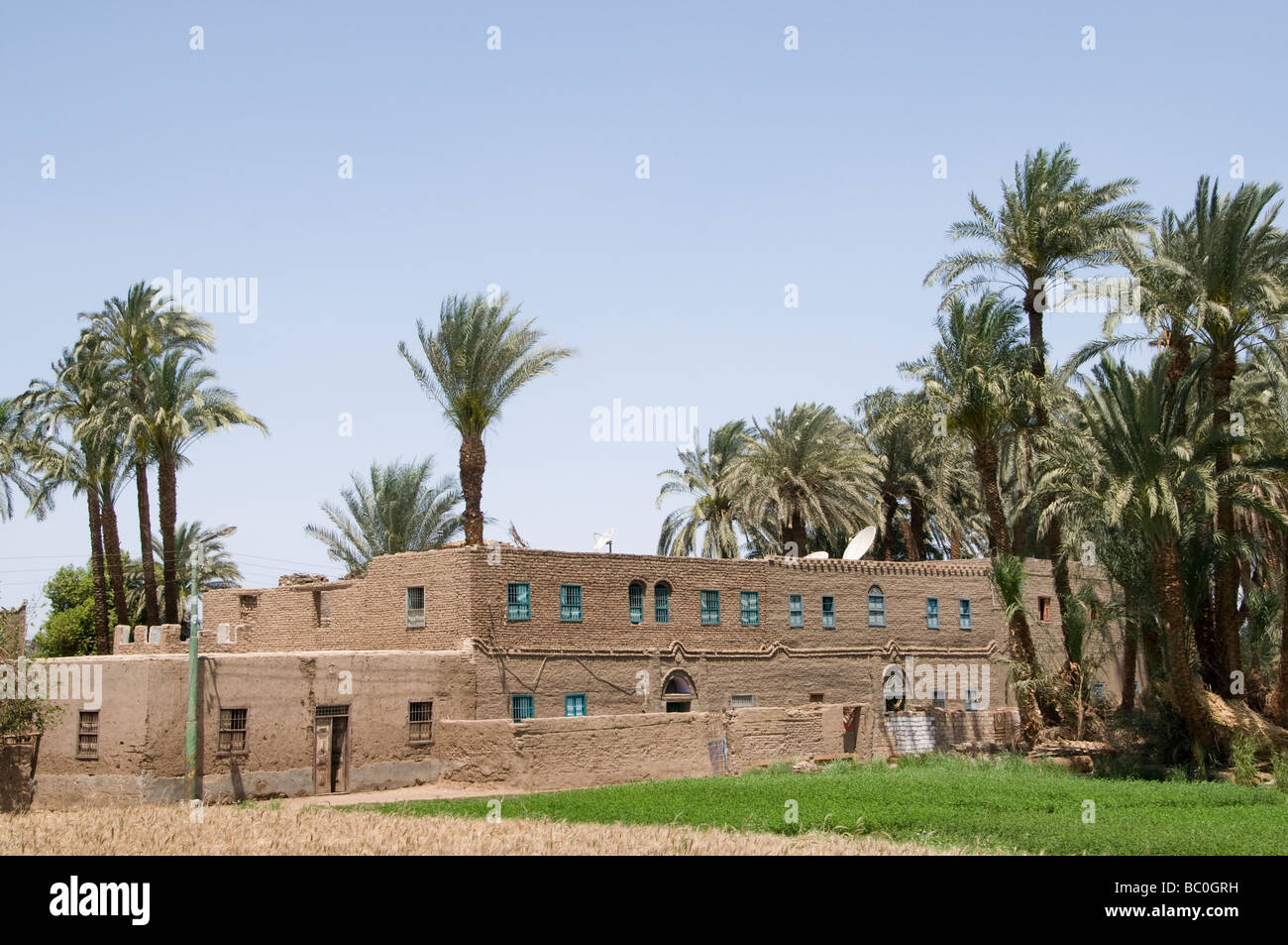 Nile River Ägypten Bauernhof Landwirtschaft Feld alte Bauerndorf auf dem Nil Stockfoto