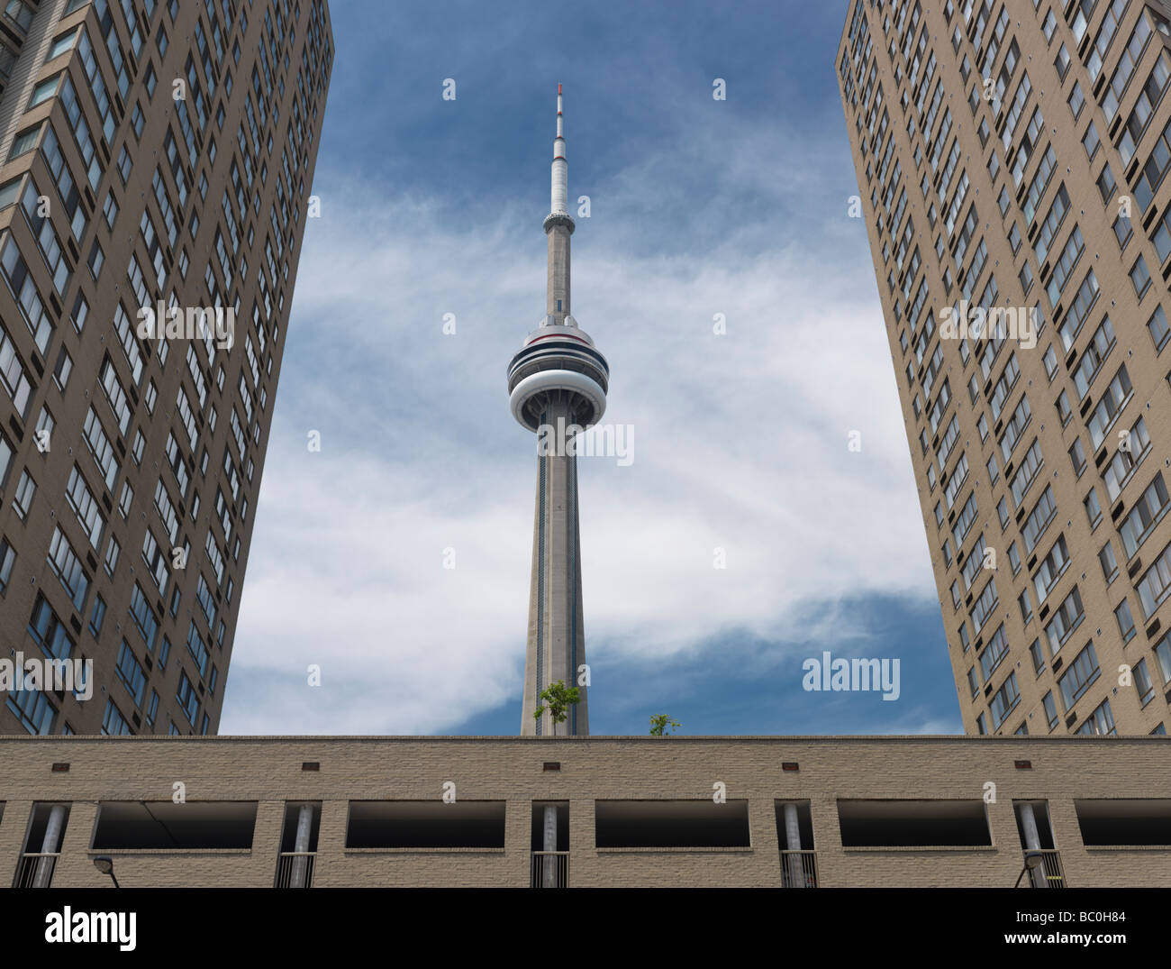 CN-Tower mit Hochhäusern umgeben Stockfoto