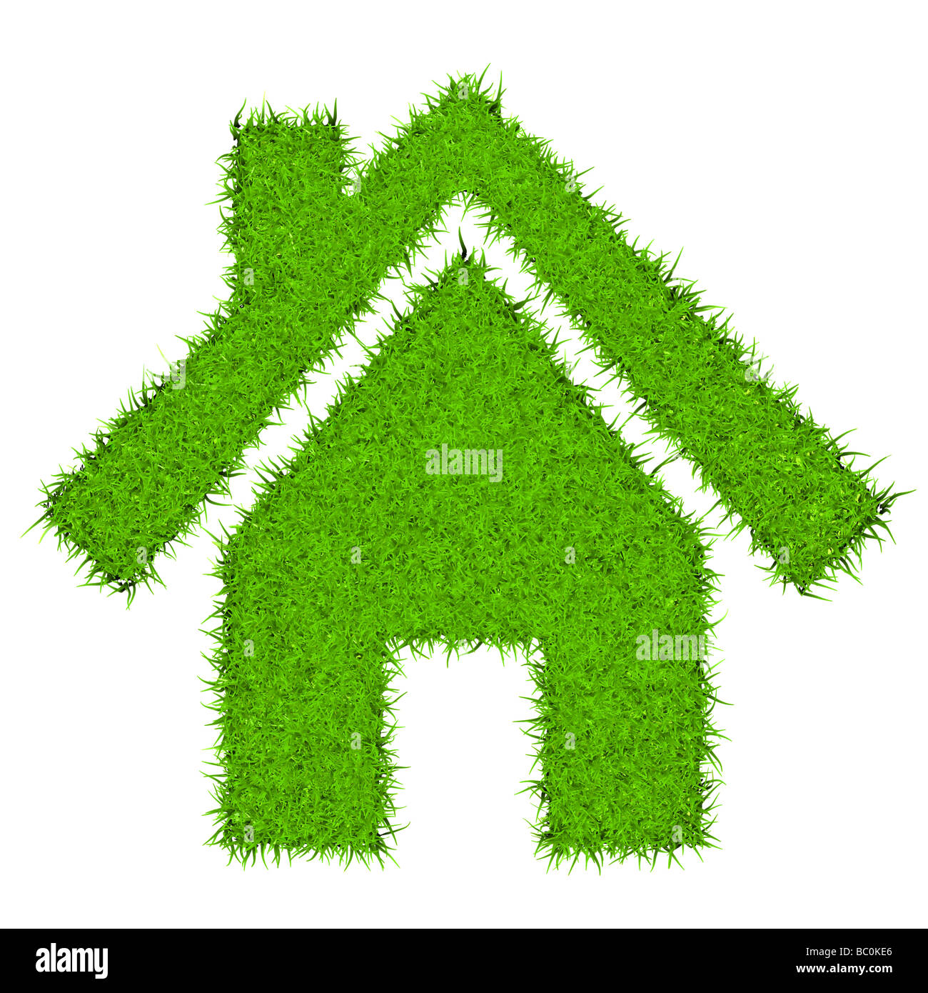 Grass-Haus-Symbol Stockfoto