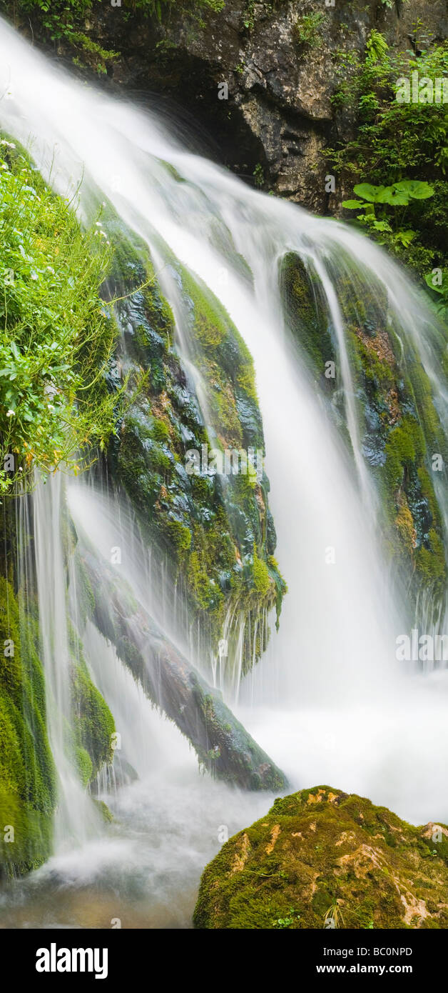 Wald-Wasserfall. Stockfoto