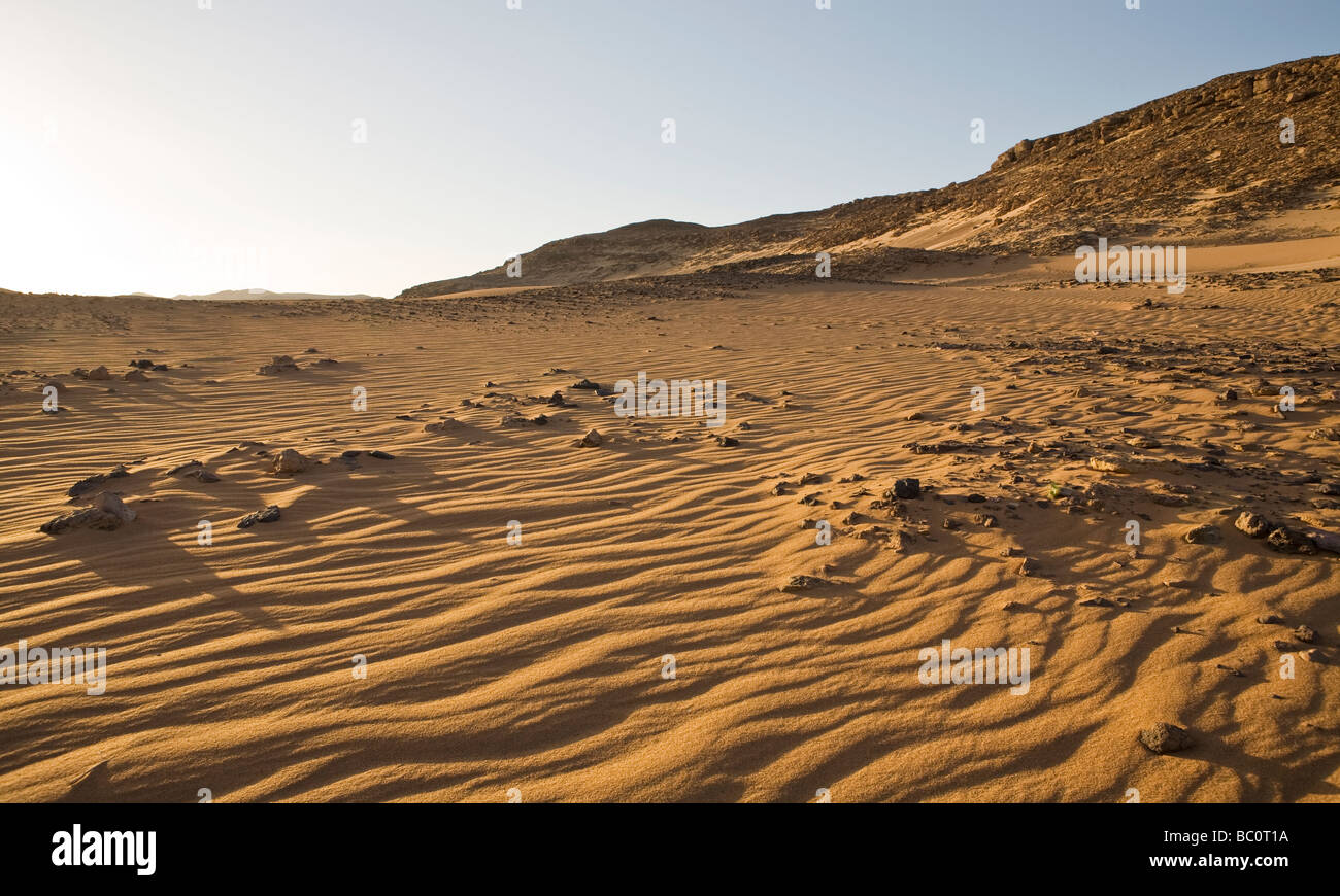 Panorama der Wind erodiert Wüstenboden mit Graten in Schuss und entfernten Sanddünen, Östliche Wüste, Ägypten, Afrika Stockfoto