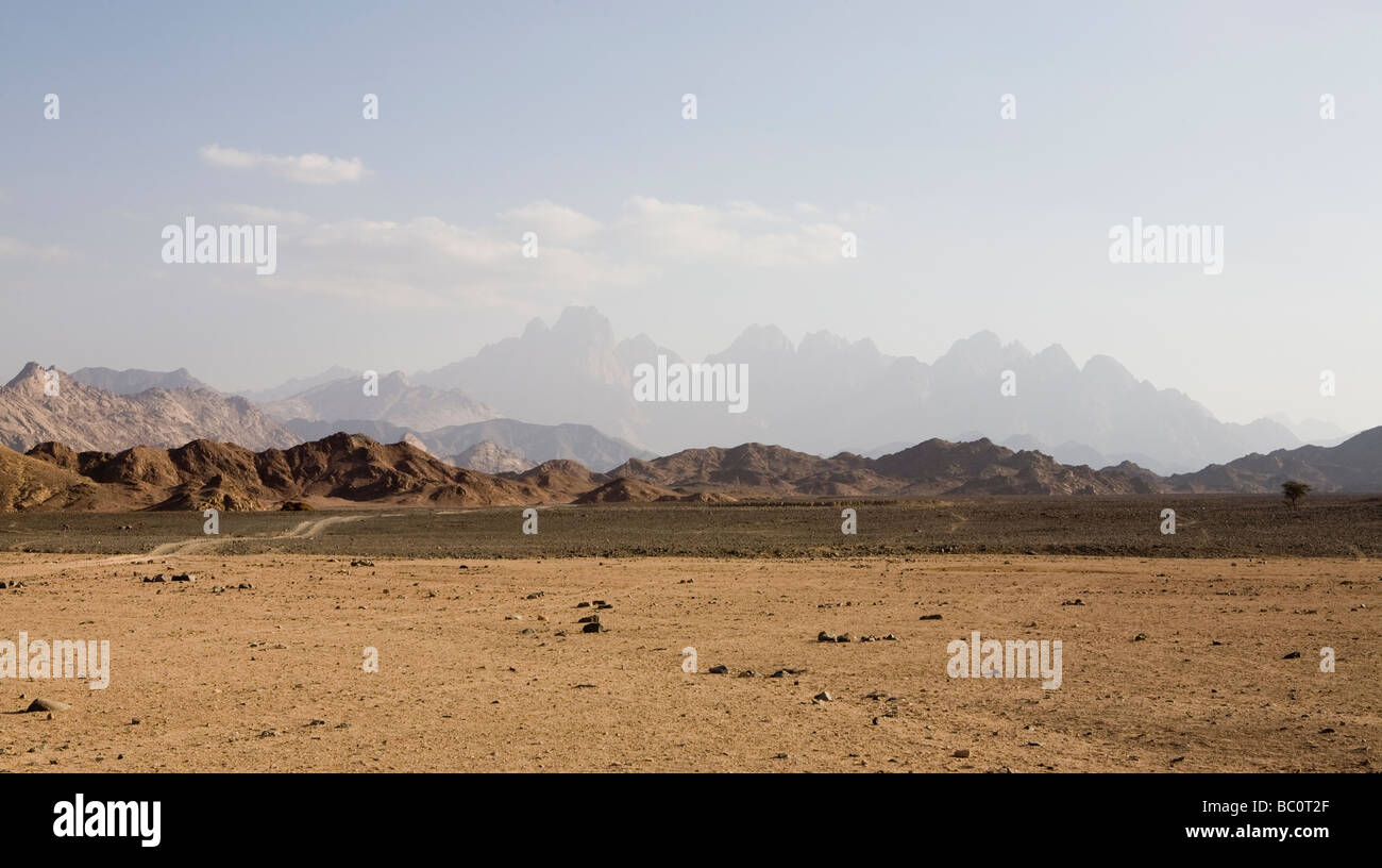 Panorama über Wüstenboden zu fernen Bergketten mit Auto verfolgt, auf der linken Seite, Östliche Wüste von Ägypten, Afrika Stockfoto