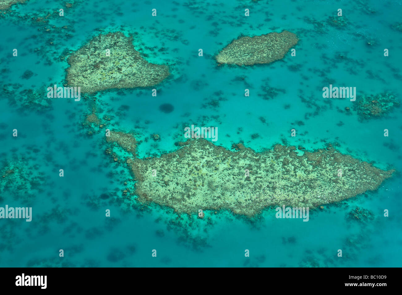 Das Great Barrier Reef an der Küste von Cairns aus der Luft. Stockfoto