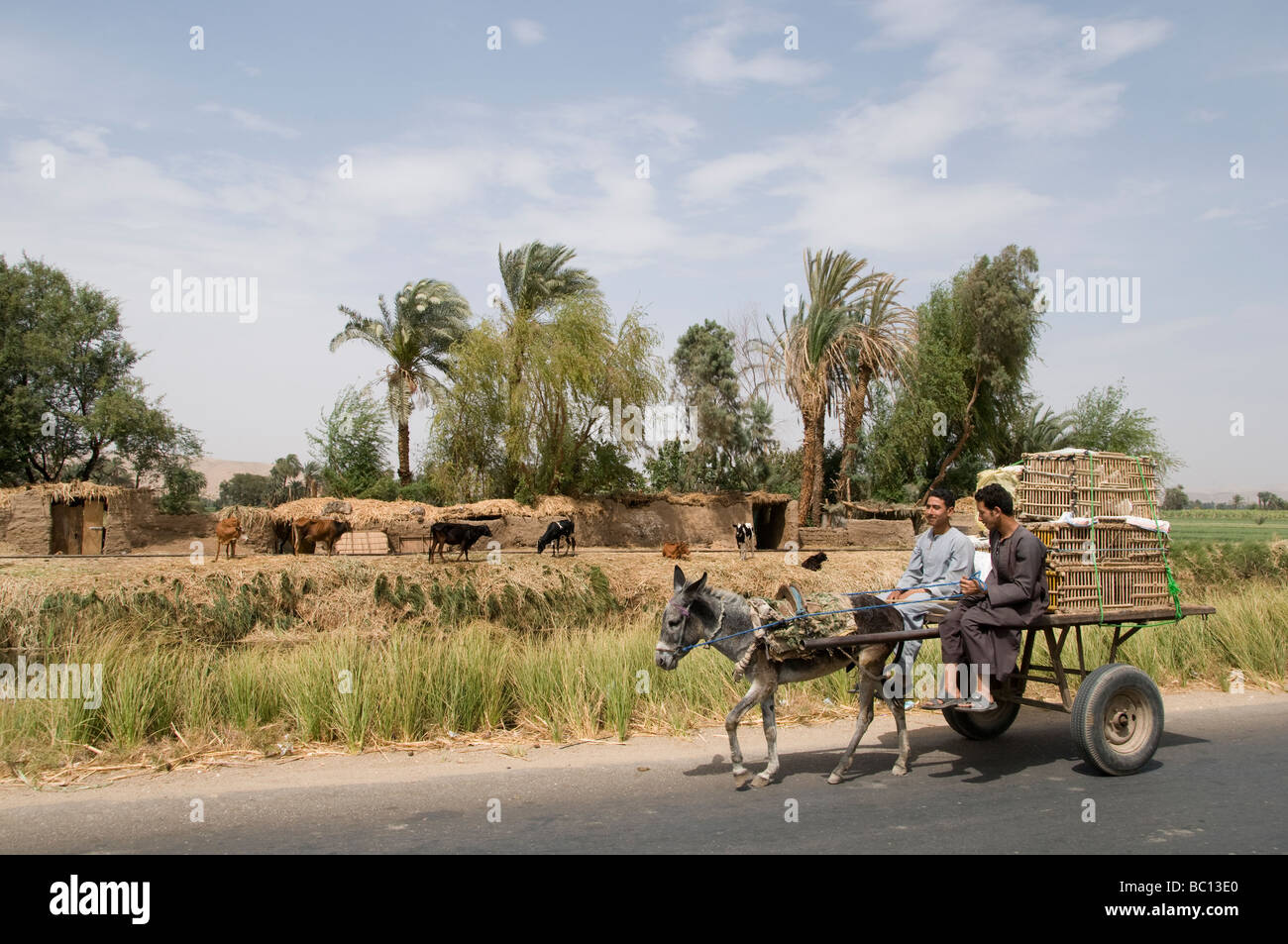 Nile River Ägypten Bauernhof Landwirt Landwirtschaft Feld Esel Wagen zwei Jungs Stockfoto