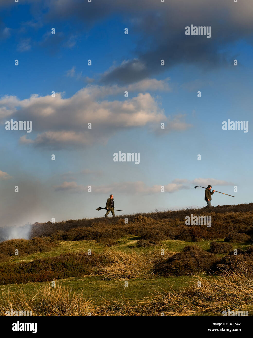 Heather Anbacken Mauren Stockfoto