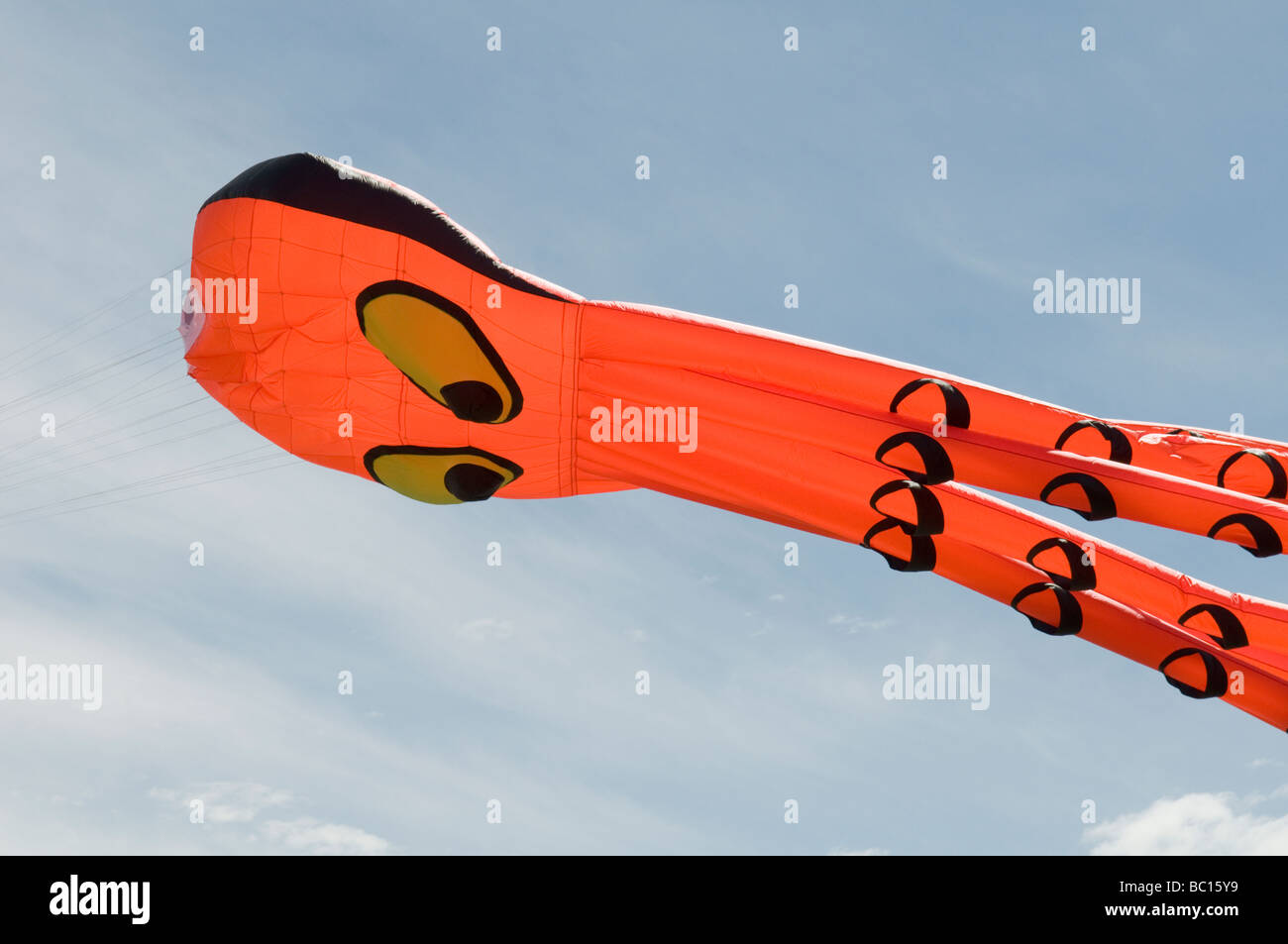 Riesenkraken kite Stockfoto