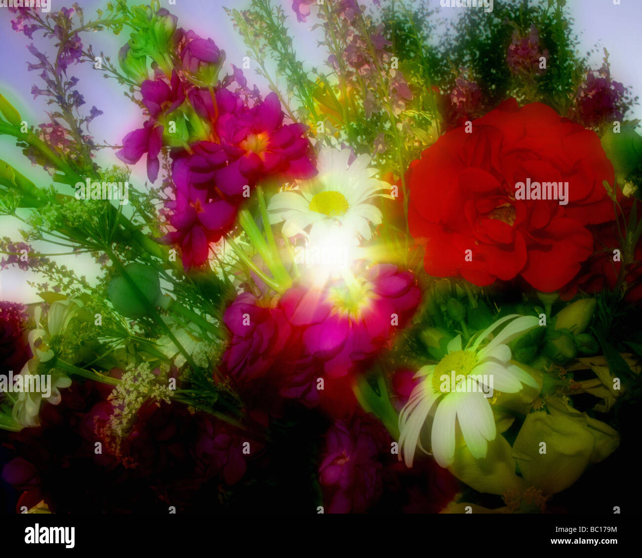 Blumen-ARRANGEMENT: Sommerblumen Stockfoto