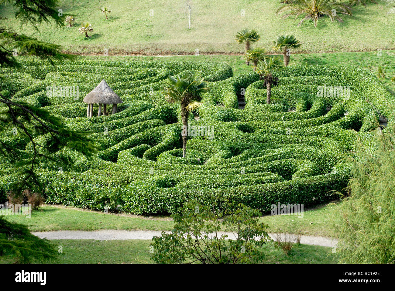 Das Labyrinth in Glendurgan Gardens, Mawnan Porth, in Cornwall Stockfoto