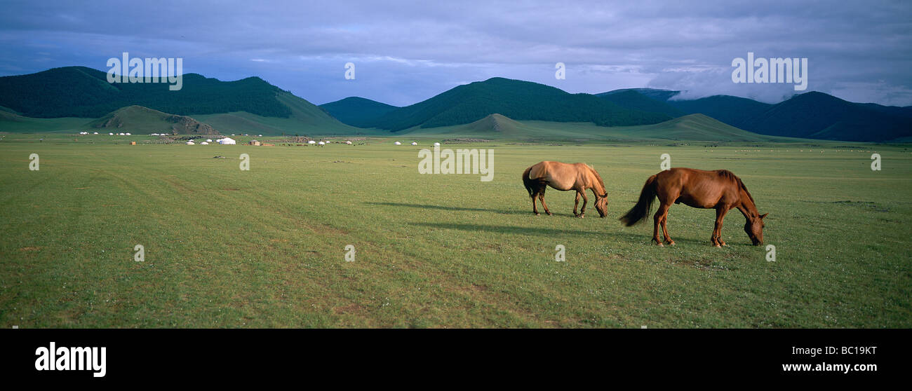 Mongolei, Ovorkhangai Provinz, Orkhon Tal von der UNESCO als Welterbe gelistet Stockfoto