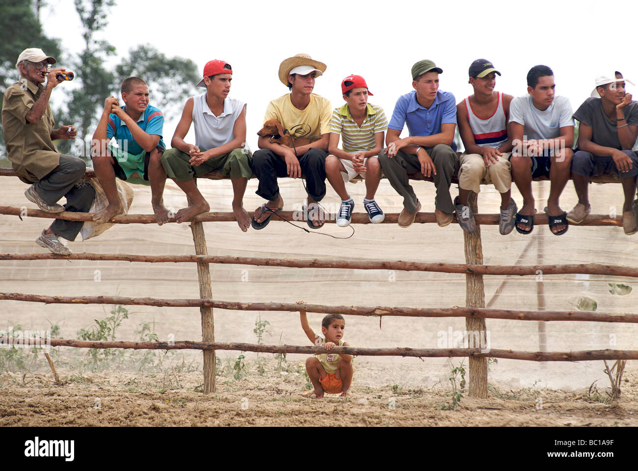 Zuschauer beim Sábalo jährliche Rodeo, Pinar del Rio Stockfoto