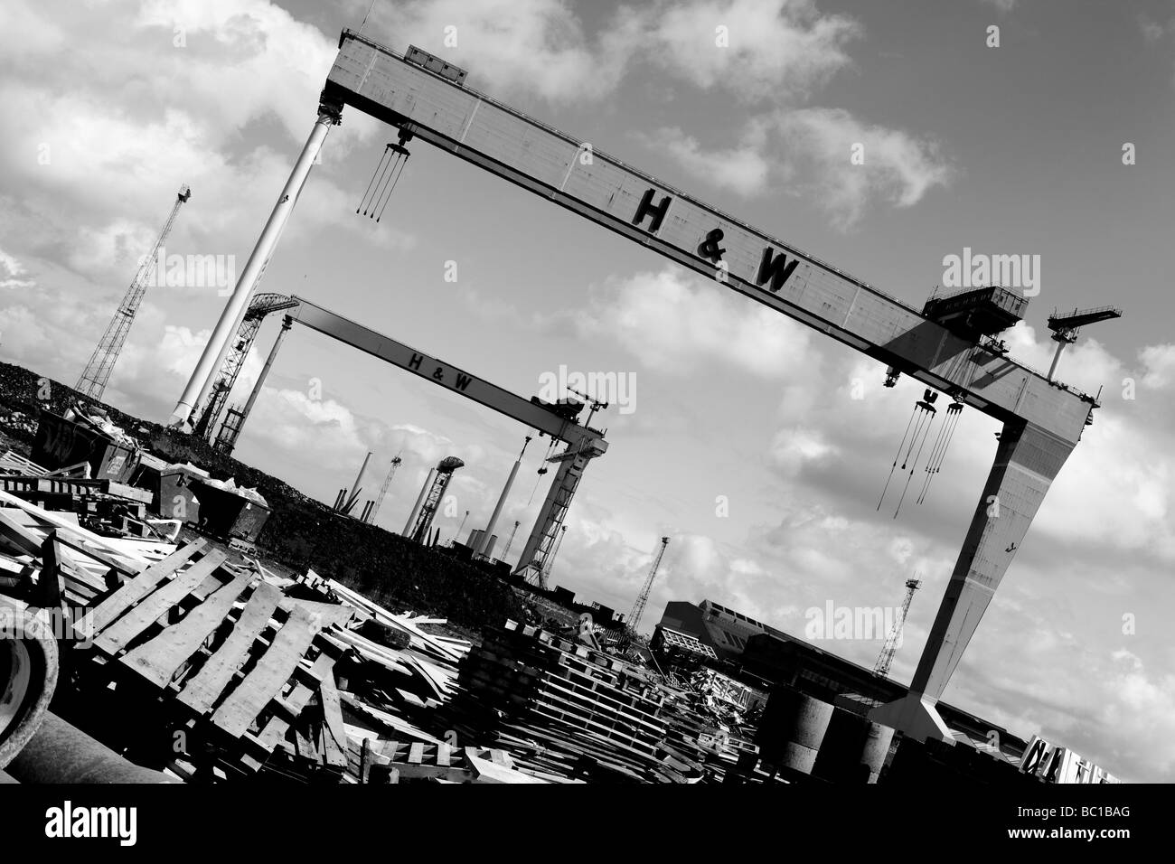 Samson und Goliath in Harland Wolff Werft, Insel der Königin, Belfast, Nordirland, Vereinigtes Königreich Stockfoto