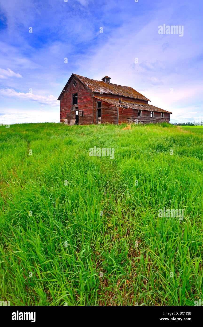 eine landschaftlich reizvolle einer verlassenen rote Scheune ländlichen Alberta Kanada Stockfoto