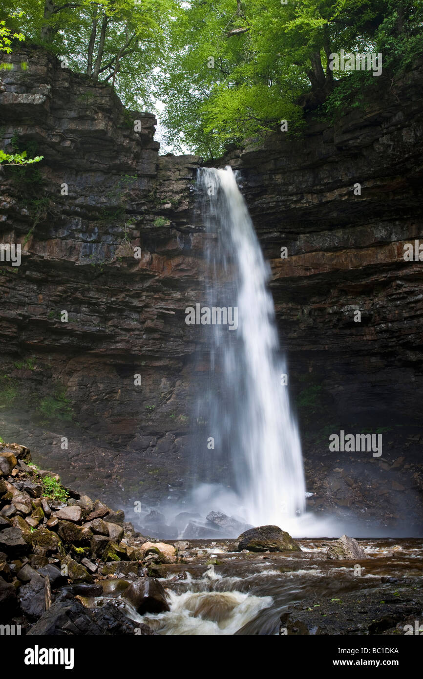 Hardraw Kraft angeblich Englands höchste Freefall Wasserfall obere Wensleydale Yorkshire Dales National Park Stockfoto