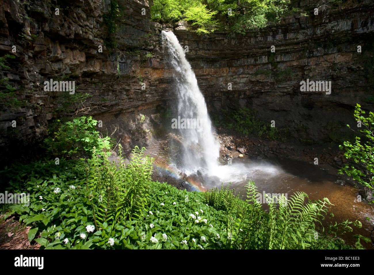 Hardraw Kraft angeblich Englands höchste Freefall Wasserfall obere Wensleydale Yorkshire Dales National Park Stockfoto