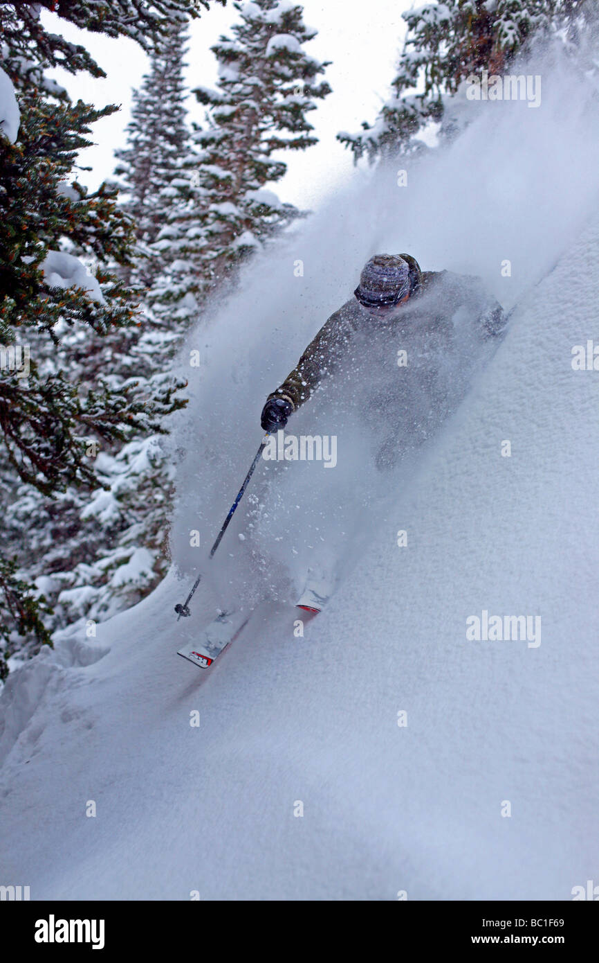 Skifahrer macht eine Drehung im frischen Pulverschnee. Brighton Skigebiet, Salt Lake City, Utah, USA Stockfoto