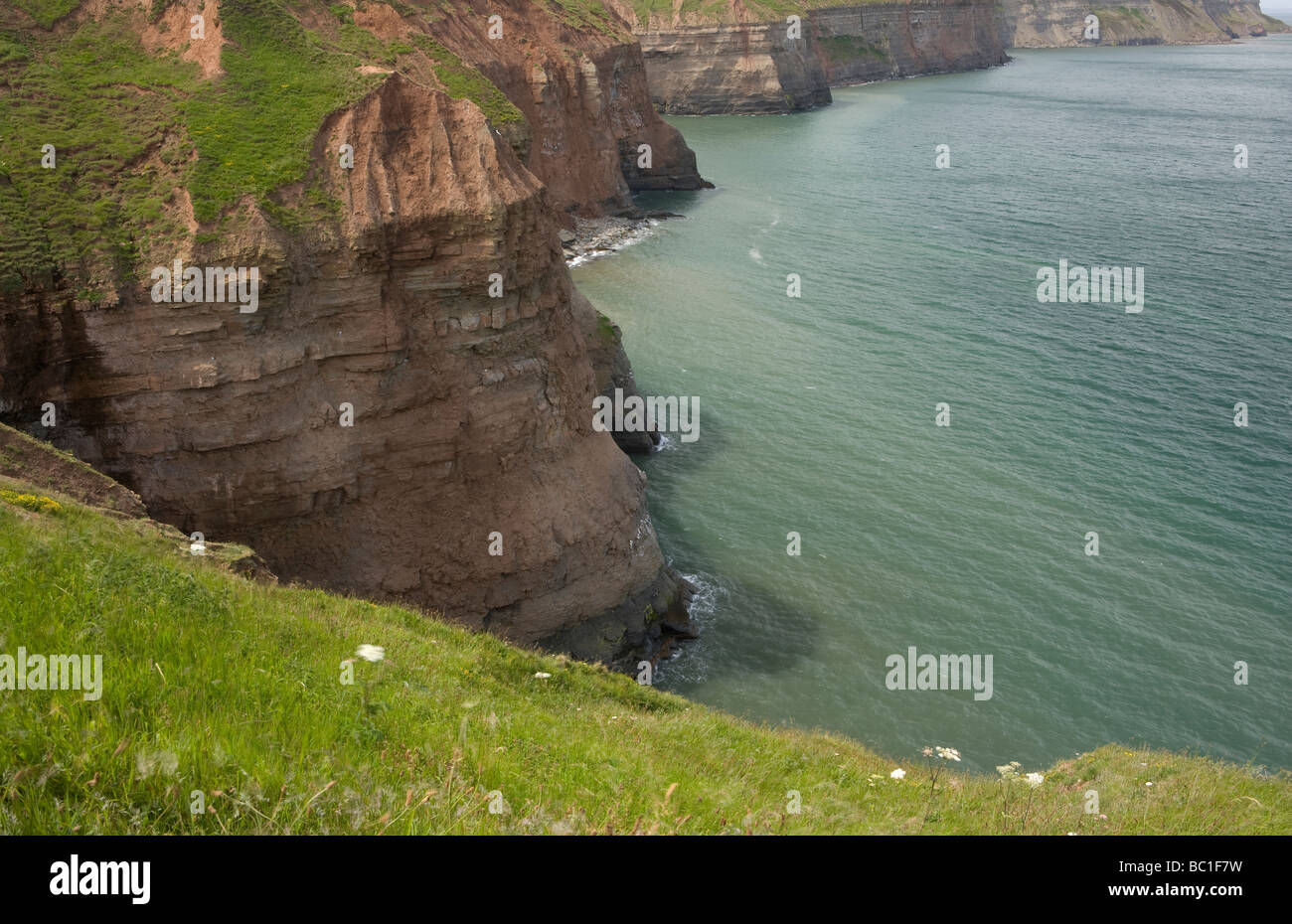Klippen am Boulby an der Nordküste Yorkshire Stockfoto