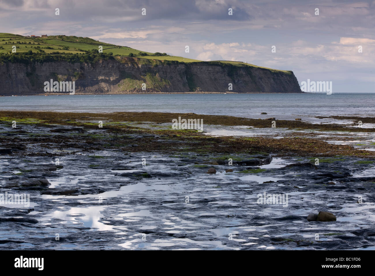 Klippen in der Nähe von Robin Hoods Bay an der Küste North Yorkshire Stockfoto