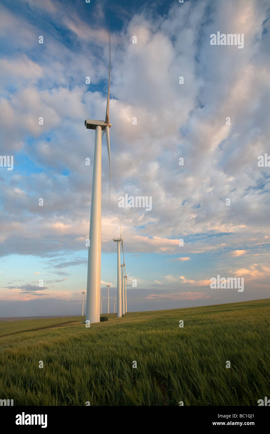 Windkraft Stockfoto