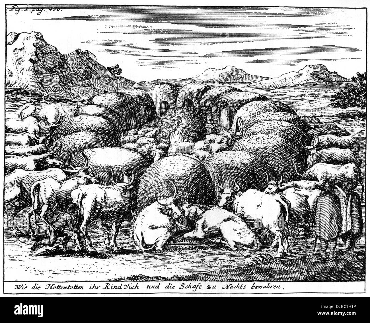 Hüten Schafe und Rinder bei Nacht, Südafrika, 18.Jahrhundert (1931). Artist: Unbekannt Stockfoto