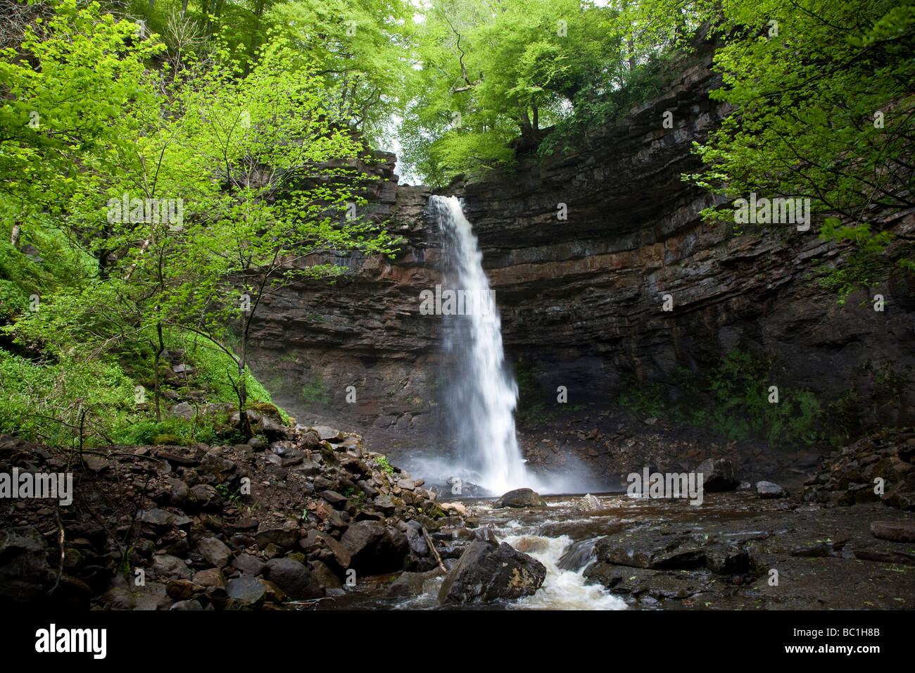 Hardraw Kraft angeblich Englands höchste Freefall Wasserfall obere Wensleydale Yorkshire Dales National Park Stockfoto