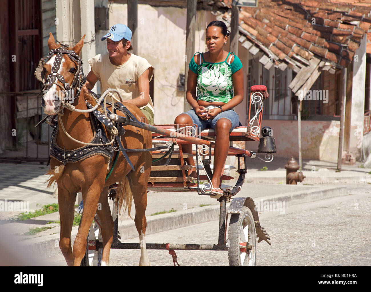 Pferdegespannen Transport in Cabañas, Provinz Havanna, Kuba Stockfoto