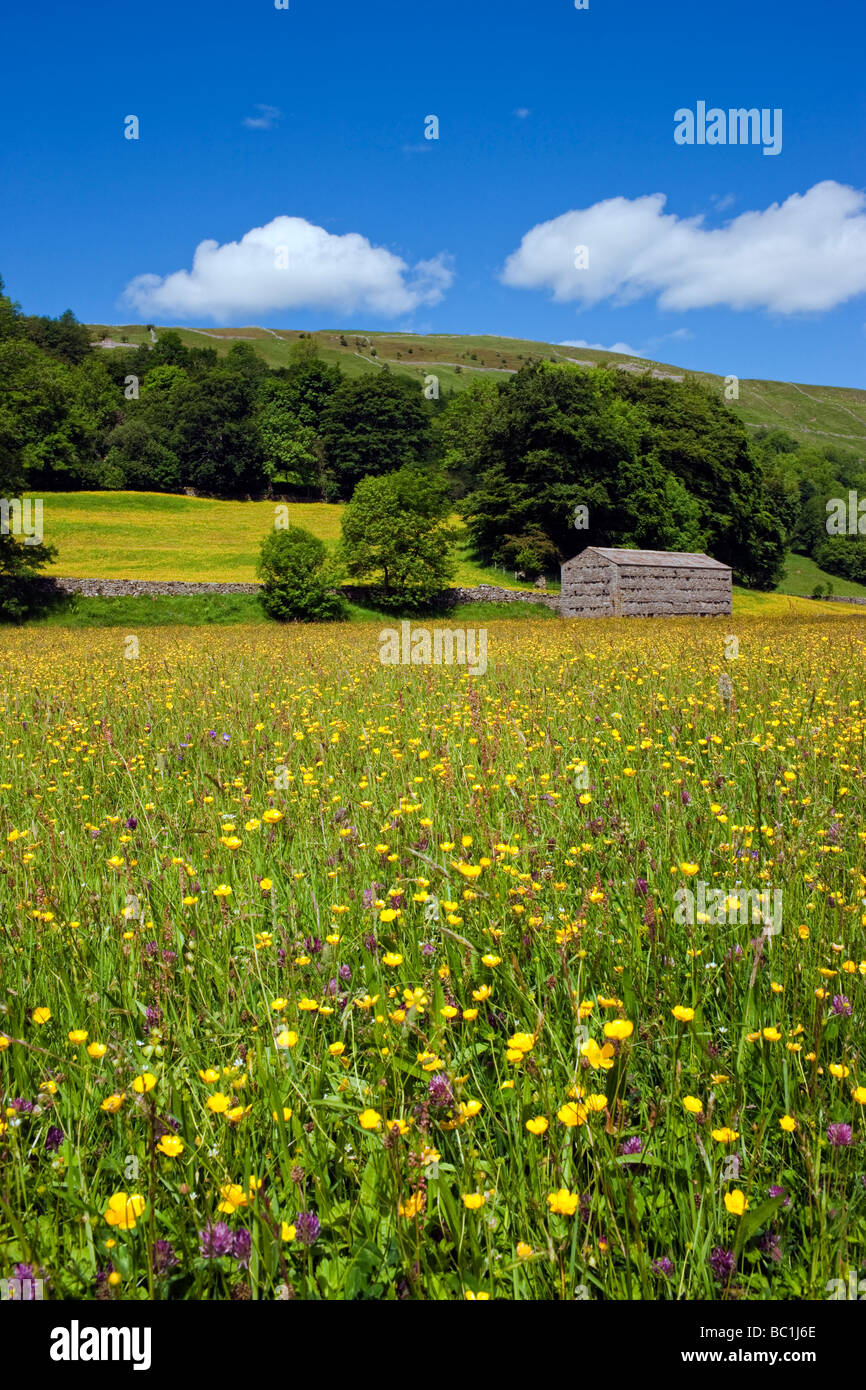 Heu Wiese und Scheune in der Nähe von Dorf Muker im Swaledale, North Yorkshire UK Stockfoto