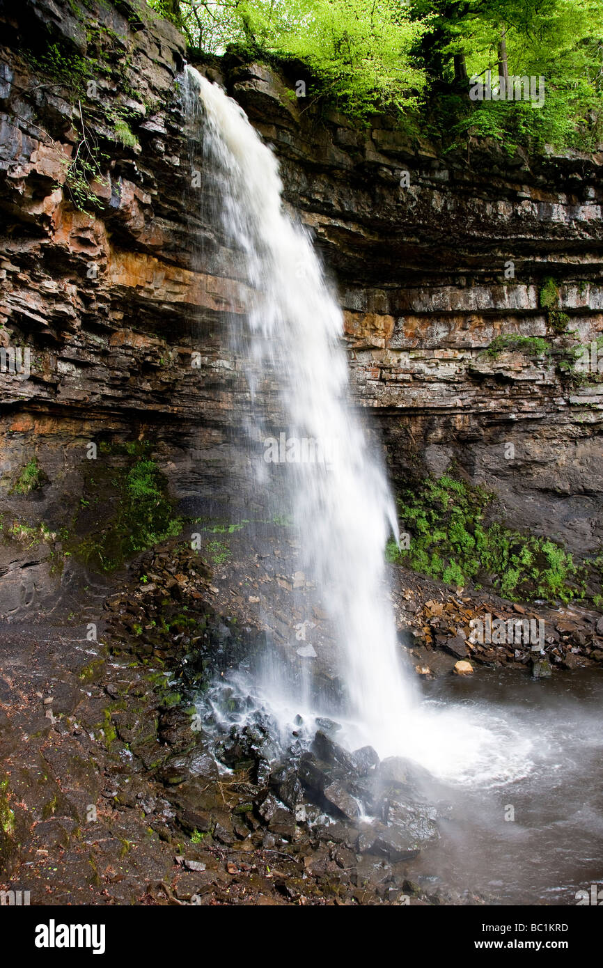 Hardraw Kraft angeblich Englands höchste Freefall Wasserfall obere Wensleydale Yorkshire Dales National Park Stockfoto